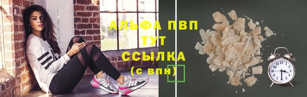 ГАЛЛЮЦИНОГЕННЫЕ ГРИБЫ Горно-Алтайск