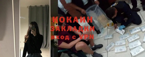 ГАЛЛЮЦИНОГЕННЫЕ ГРИБЫ Горно-Алтайск