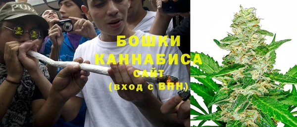 apvp Горнозаводск