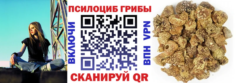Галлюциногенные грибы MAGIC MUSHROOMS  Дивногорск 